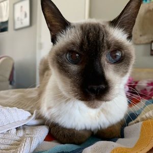 Why I’m selling this stuff